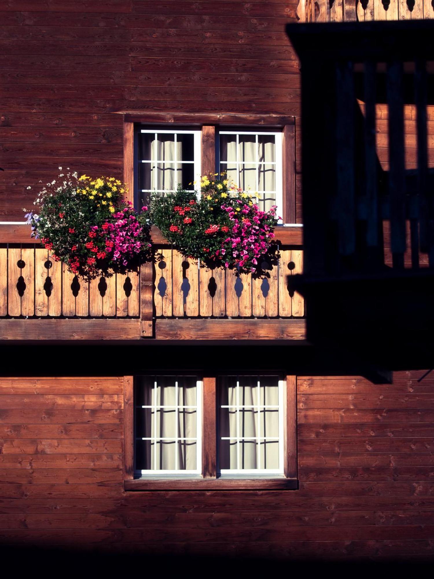 Boutique Hotel La Cabane Bettmeralp Dış mekan fotoğraf